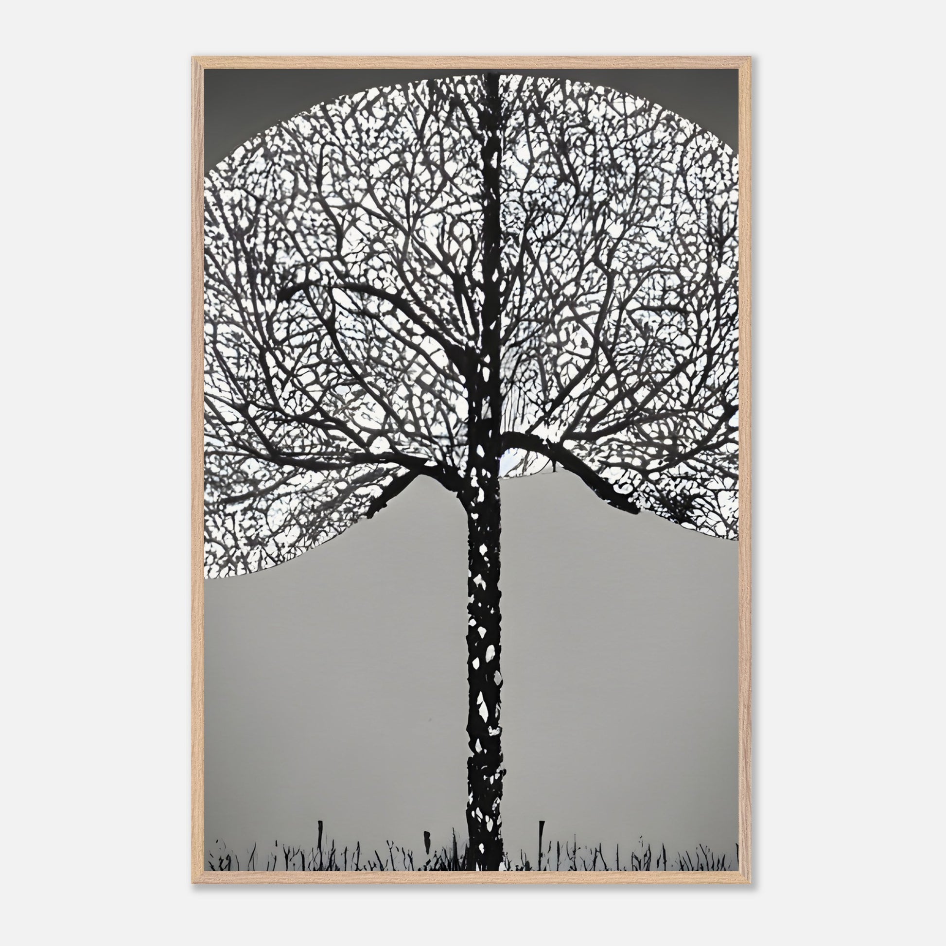 27e6e863-82cb-4fe6-9632-477b7d8295fe